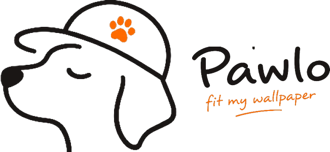 Pawlo – fit my wallpaper
